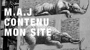 Mettre souvent son site à jour permet d'obtenir un meilleur référencement naturel